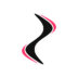 Zoomerang Logo