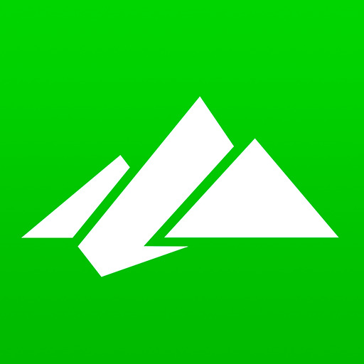 Bergex Logo