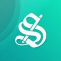 Stylish Logo