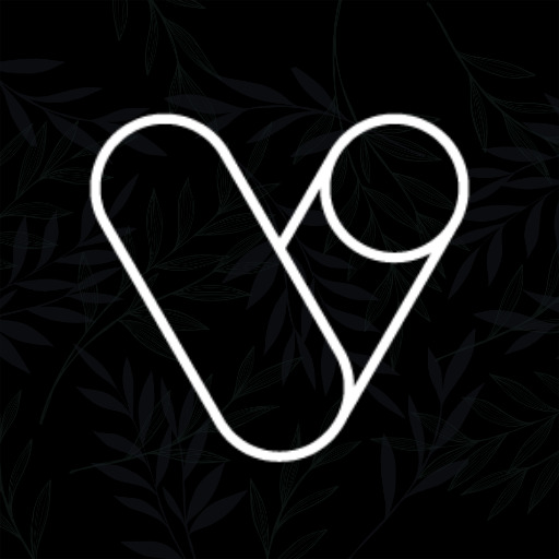 Vera Outline Logo