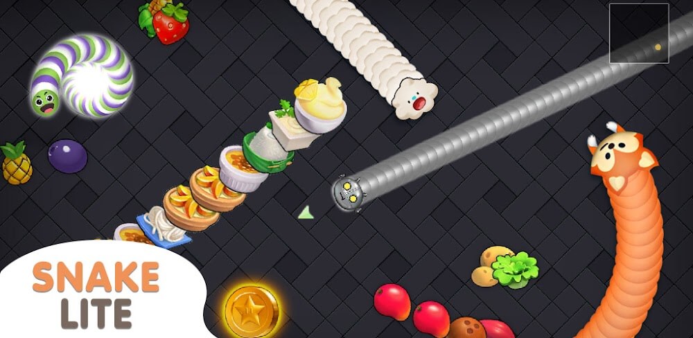 Snake Lite Bc