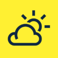 Weather Pro Logo