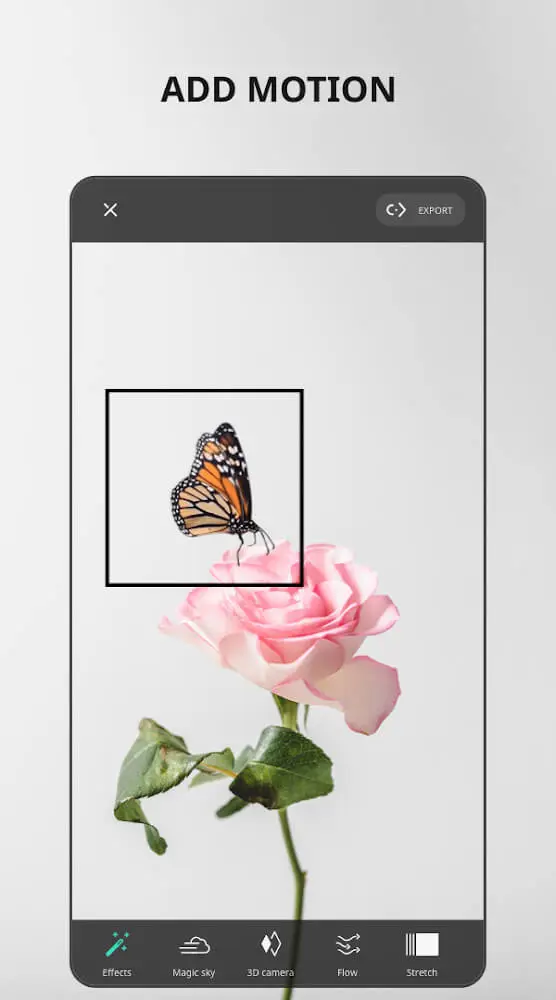 Vimage Bc 3