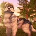 Wolf Tales Logo