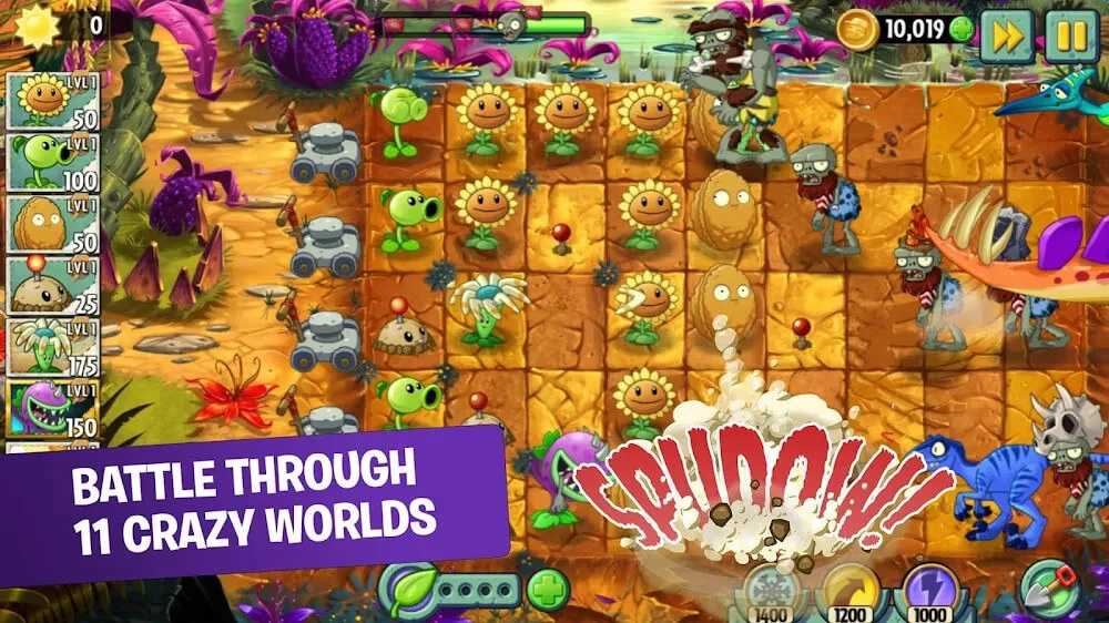 Zoombies Bc